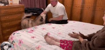 国产肥胖老太视频播放,揭秘肥胖人群生活现状