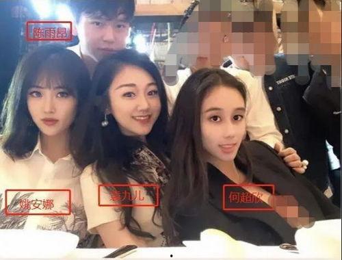 中国名媛美国产子视频播放,中国名媛海外生子现象解析