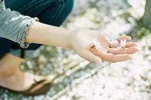 青鱼在线国产人成视频,国产人成视频，引领潮流的视觉盛宴