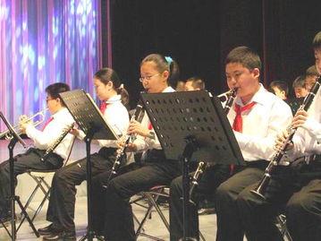 国产乐队演奏现场视频,现场视听盛宴震撼来袭！