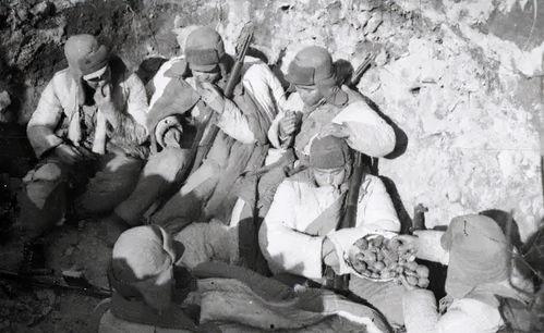 国产大片真实战争视频,国产大片重现真实战争史诗