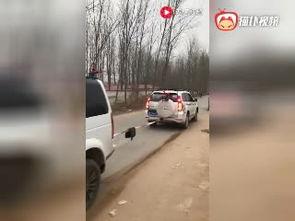 国产车悬挂系统视频 第2张 国产车悬挂系统视频 第2张