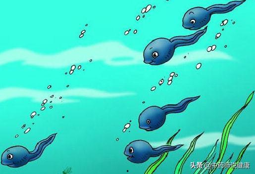 国产蝌蚪视频页,探索创意无限的内容世界 第2张 国产蝌蚪视频页,探索创意无限的内容世界 第2张